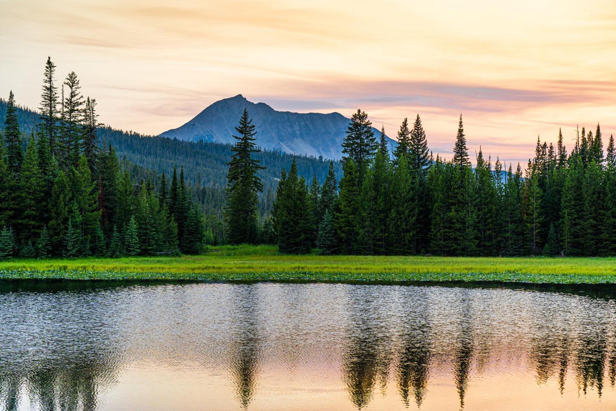 My Yellowstone Retreat Island Park Quarto foto